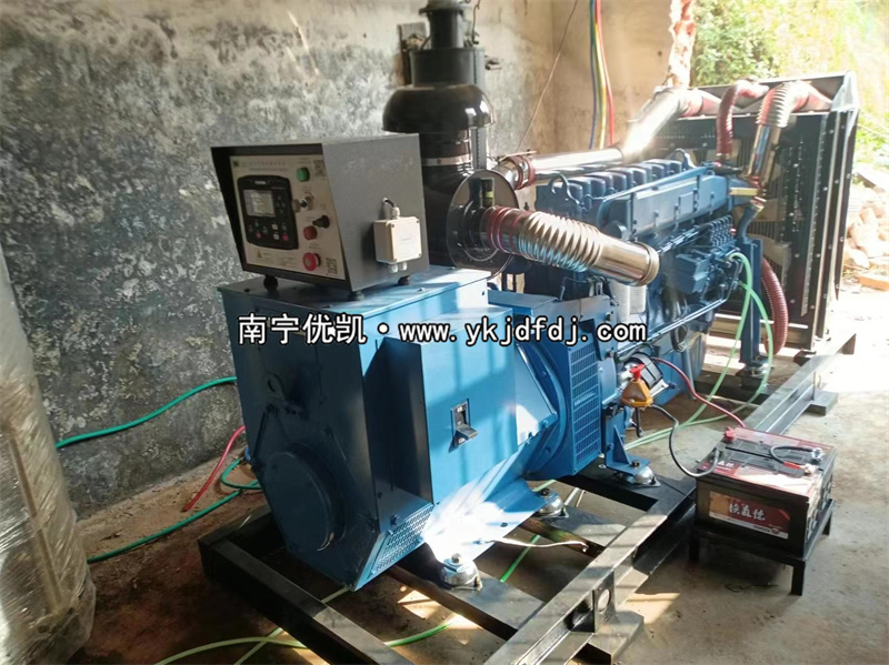 2024年3月5日，200kw濰坊雷納發(fā)電機(jī)組某學(xué)校到貨安裝